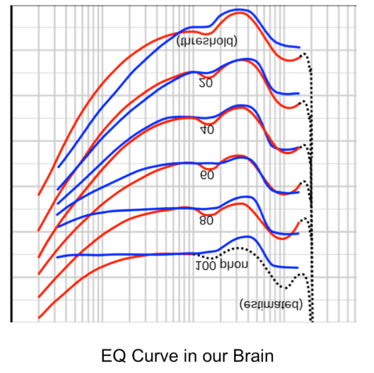 EQ Curve in our brain